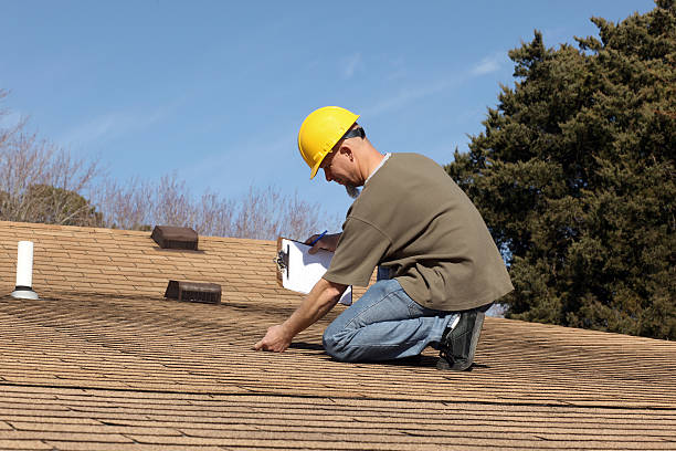Best Metal Roofing Installation  in Newbern, TN