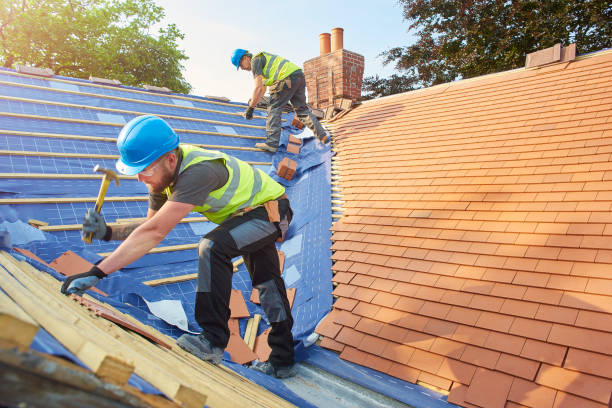 Best Roof Insulation Installation  in Newbern, TN